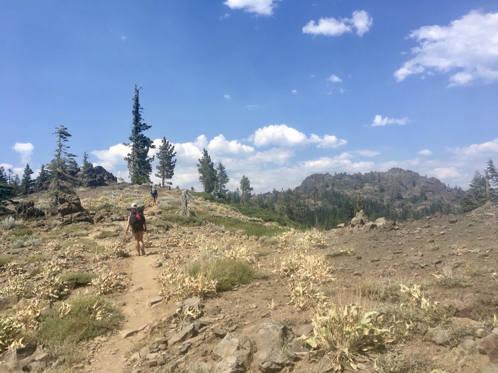 Crushing hill after hill in the baking sun was a daily occurance in Northern California.