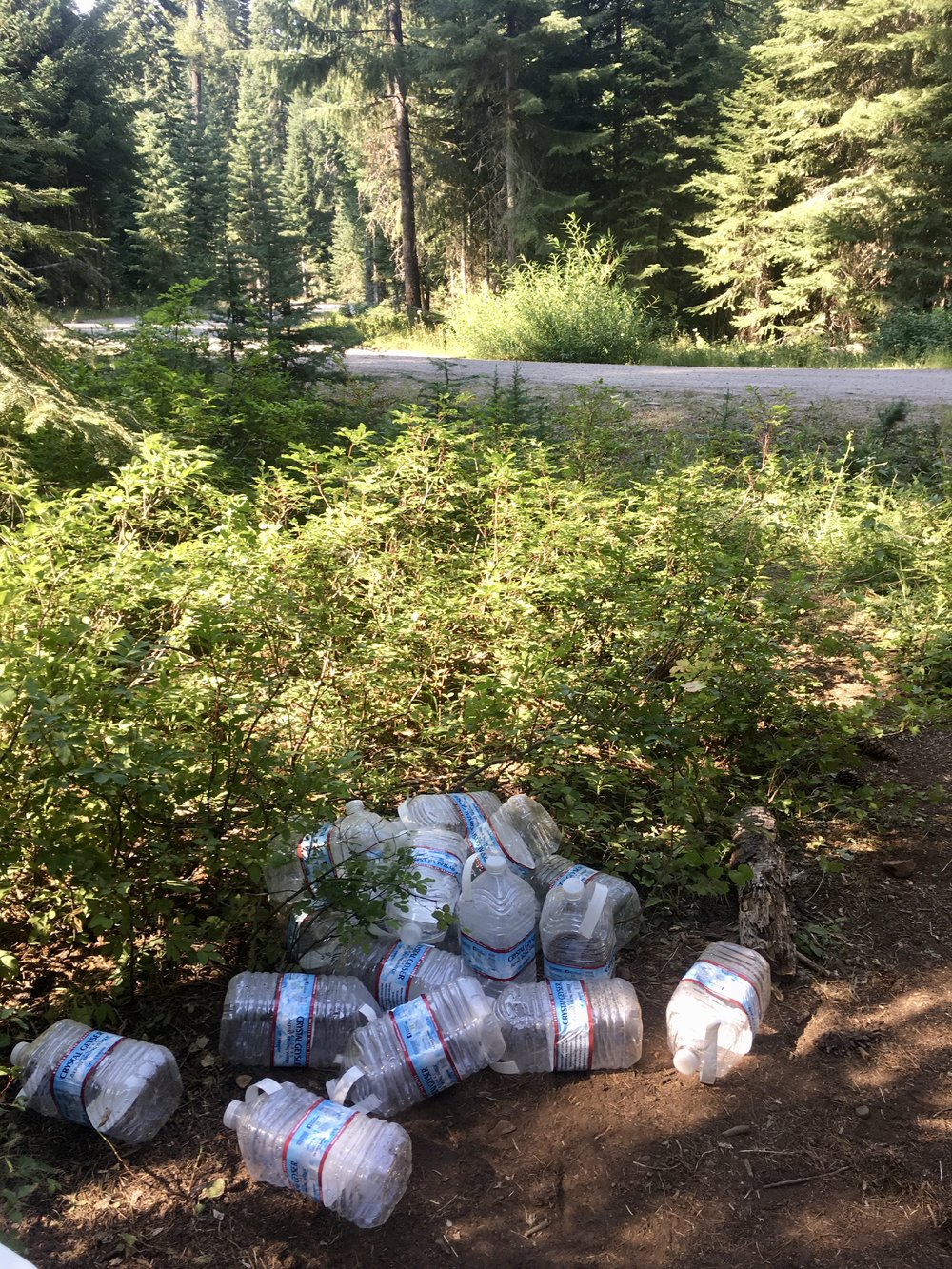 Despite what we heard from others, this water cache in Oregon turned up empty. For the next ten miles of exposed lava fields, I had only a 0.5 liter of water and learned a very valuable lesson that day.