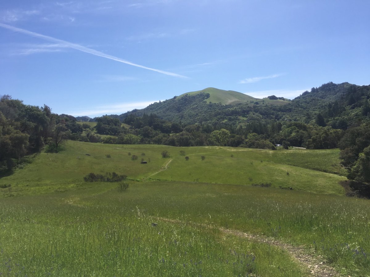 Trip Report: Sugarloaf Ridge State&nbsp;Park